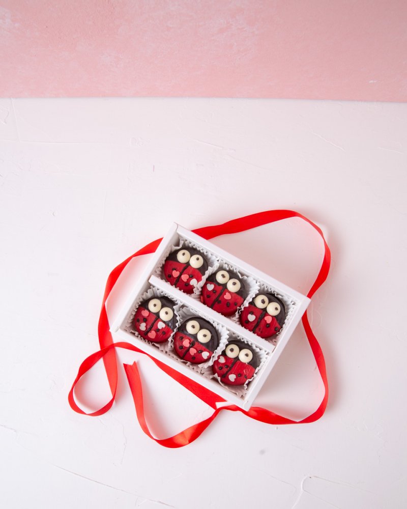 6pcs Love Bug