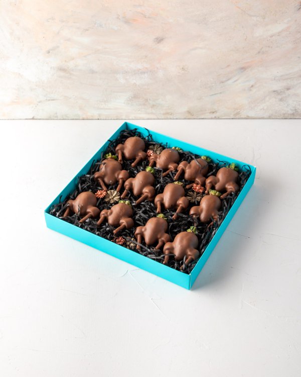 Edible Arrangements Dubai