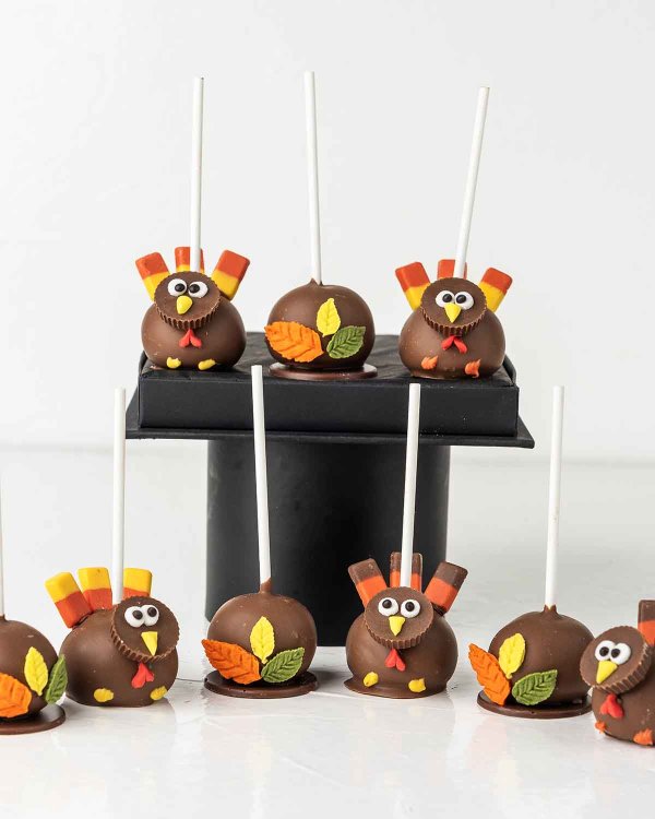 Turkey theme Cake pops