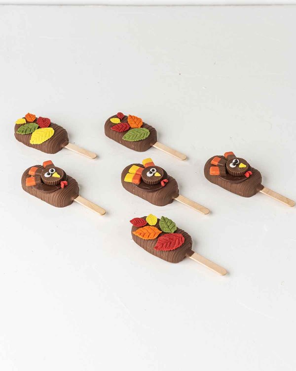 Turkey theme Cakesicles by NJD