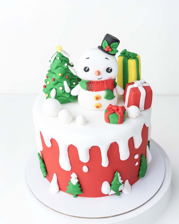Holiday Season Cake